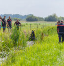Paard neemt verkoelende duik en wordt gered door brandweer